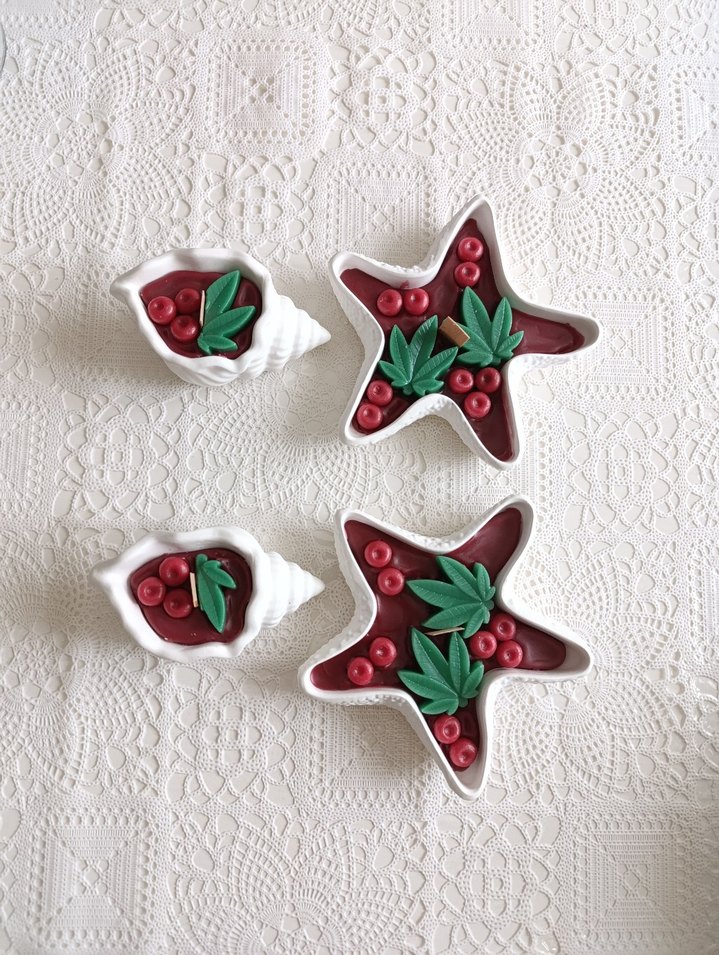 Deniz Yıldızı adet 150 Deniz Kabuğu adet 80 - Görsel 4