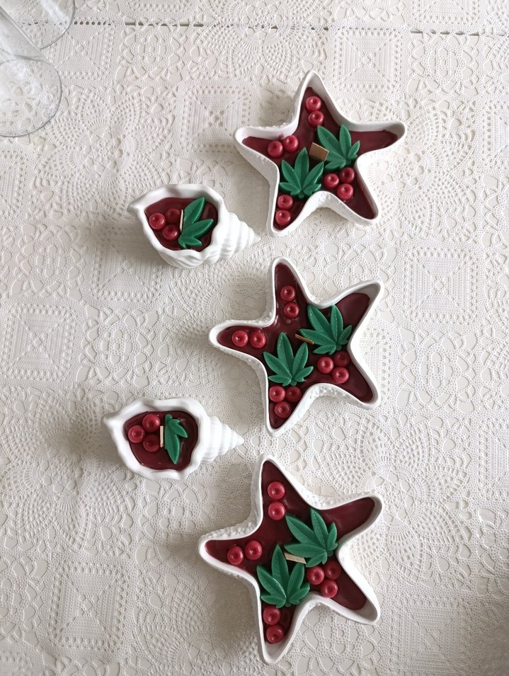 Deniz Yıldızı adet 150 Deniz Kabuğu adet 80 - Görsel 5