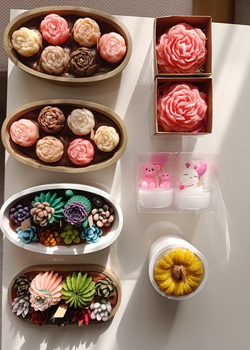 Renkli Pastel Mum Seti sukulent - Görsel 2