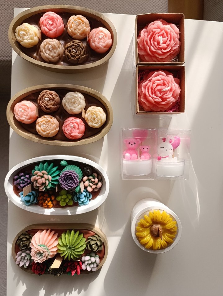 Renkli Pastel Mum Seti sukulent - Görsel 2