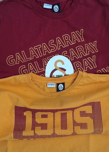 LC Waikiki Erkek Çocuk Galatasaray Baskılı Tişört