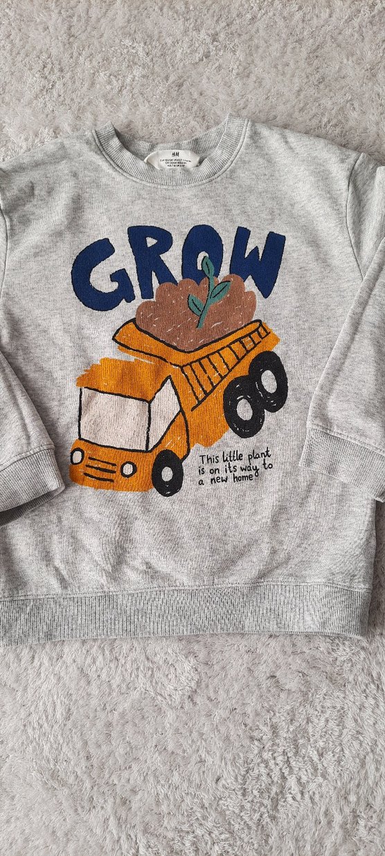 Gri Erkek Çocuk Baskılı Sweatshirt - Görsel 2