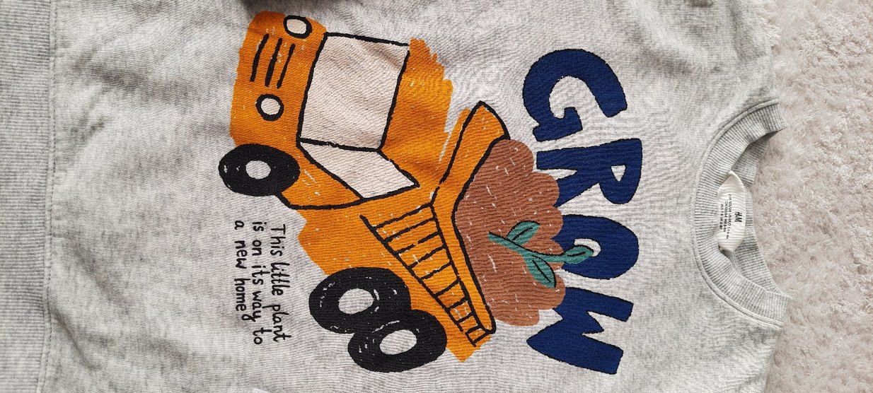 Gri Erkek Çocuk Baskılı Sweatshirt - Görsel 5