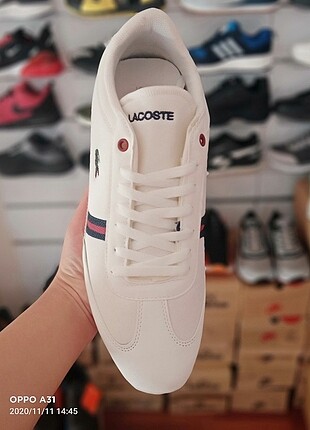 Lacoste