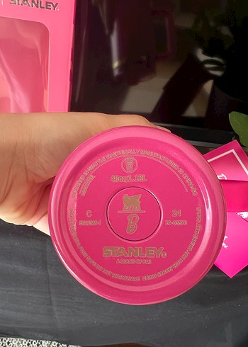 Barbie Stanley - Görsel 4