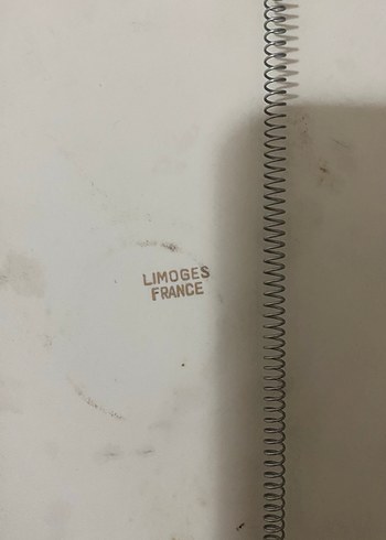 Altın Detaylı Çiçek Desenli Dekoratif Tabak - Görsel 3