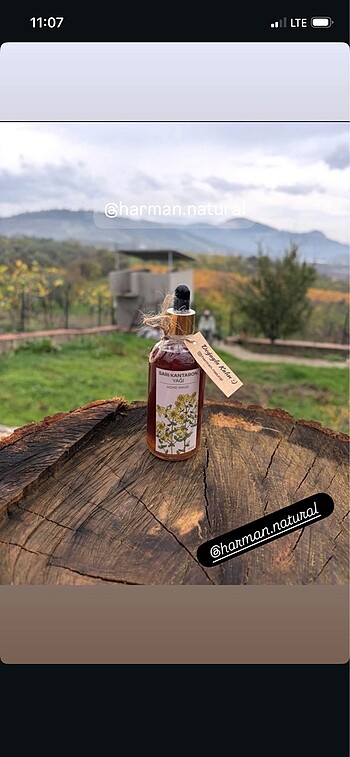 Kantaron yağı - Görsel 3