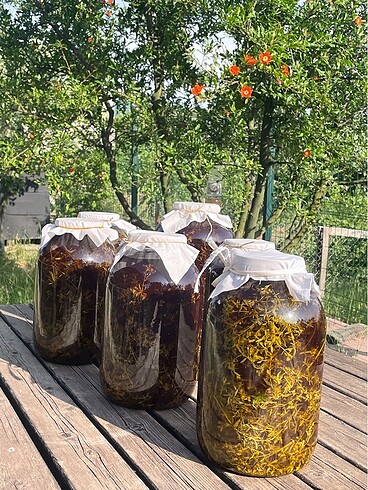 Kantaron yağı - Görsel 8