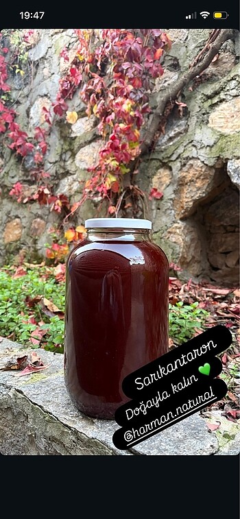 Kantaron yağı - Görsel 2