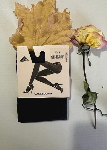Calzedonia m