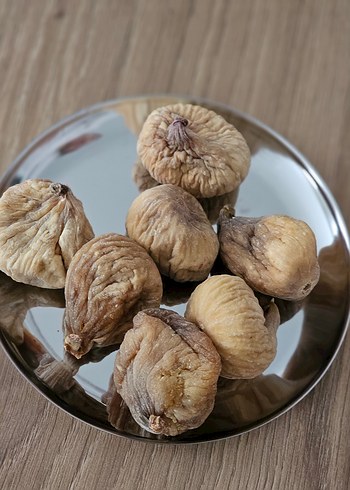 Gri Tabak subumluk - Görsel 4