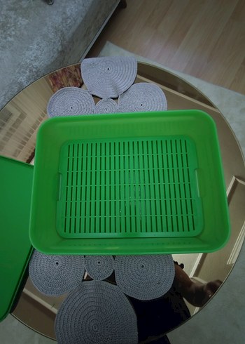Tupperware izgarali saklama kabi - Görsel 3
