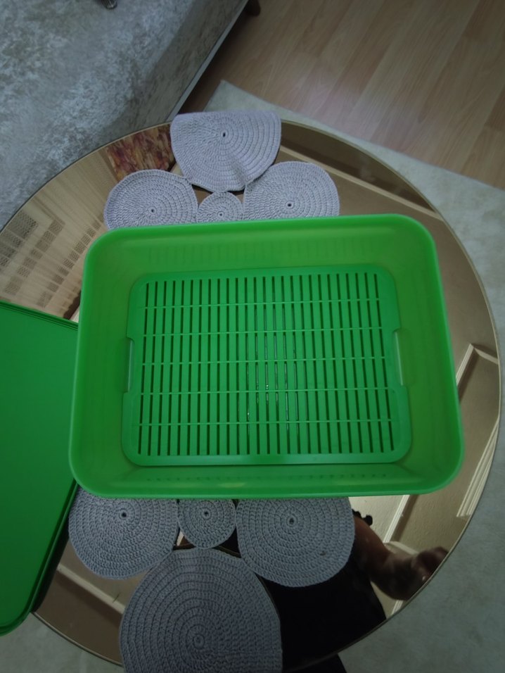 Tupperware izgarali saklama kabi - Görsel 3