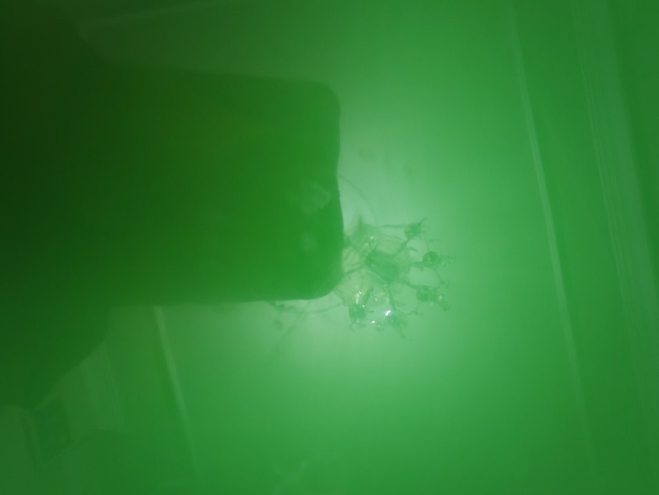 Tupperware izgarali saklama kabi - Görsel 5