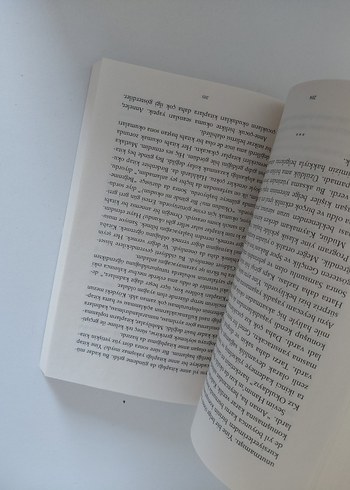 Bir Dilek Yetmez - Şiir Kitabı - Görsel 2