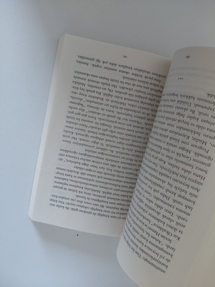 Bir Dilek Yetmez - Şiir Kitabı - Görsel 2