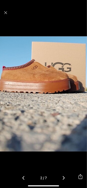 Ugg Ugg tasman terlik