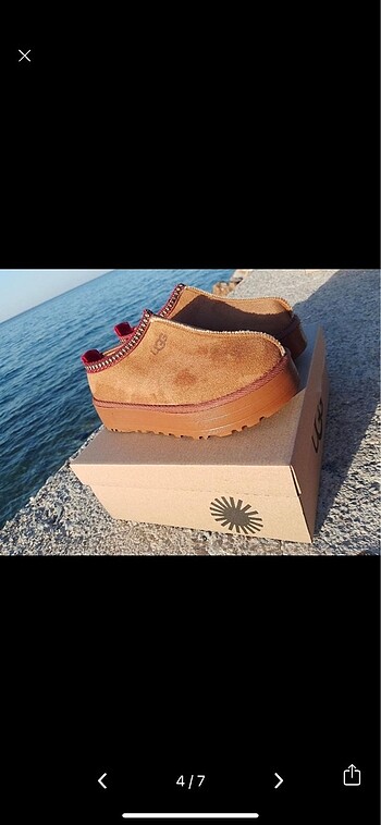 36 Beden Ugg tasman terlik