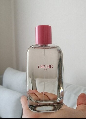 ZARA Orchid