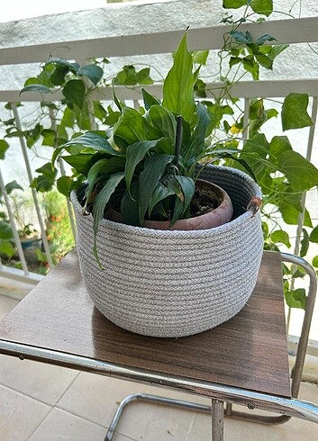 Çok amaçlı sepet - Görsel 6