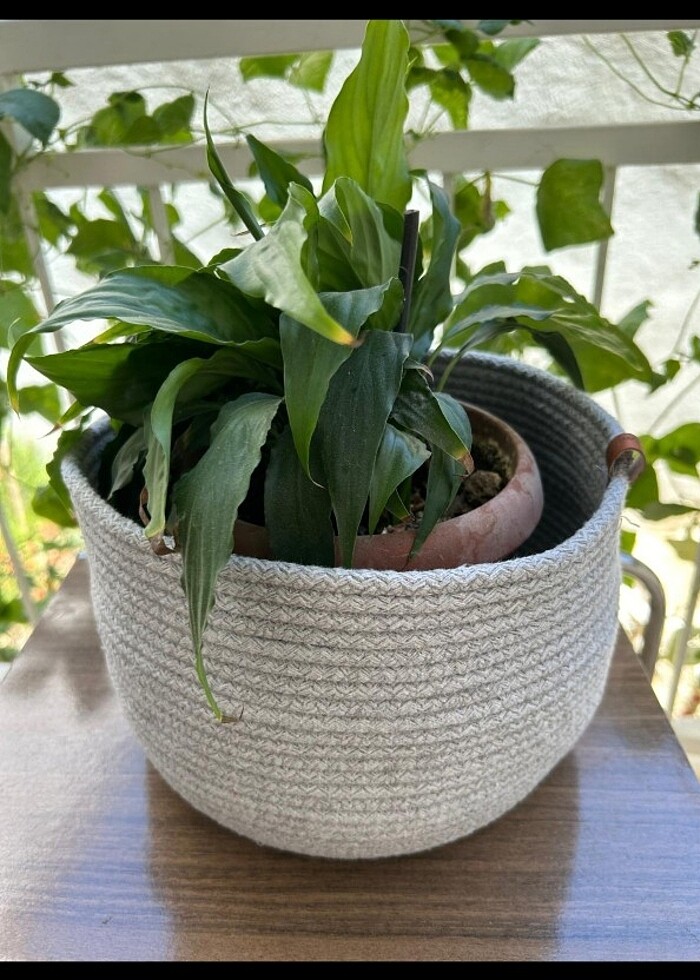 Çok amaçlı sepet - Görsel 4