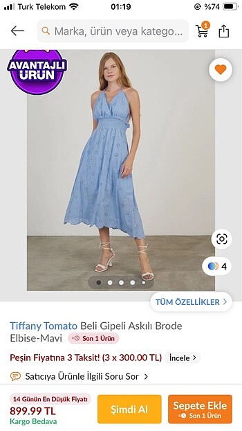 Tiffany Tomato Mavi Elbise