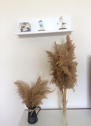 Pampas