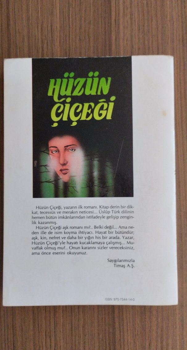 Hüzün Çiçeği - Hüseyin Yılmaz Roman - Görsel 2