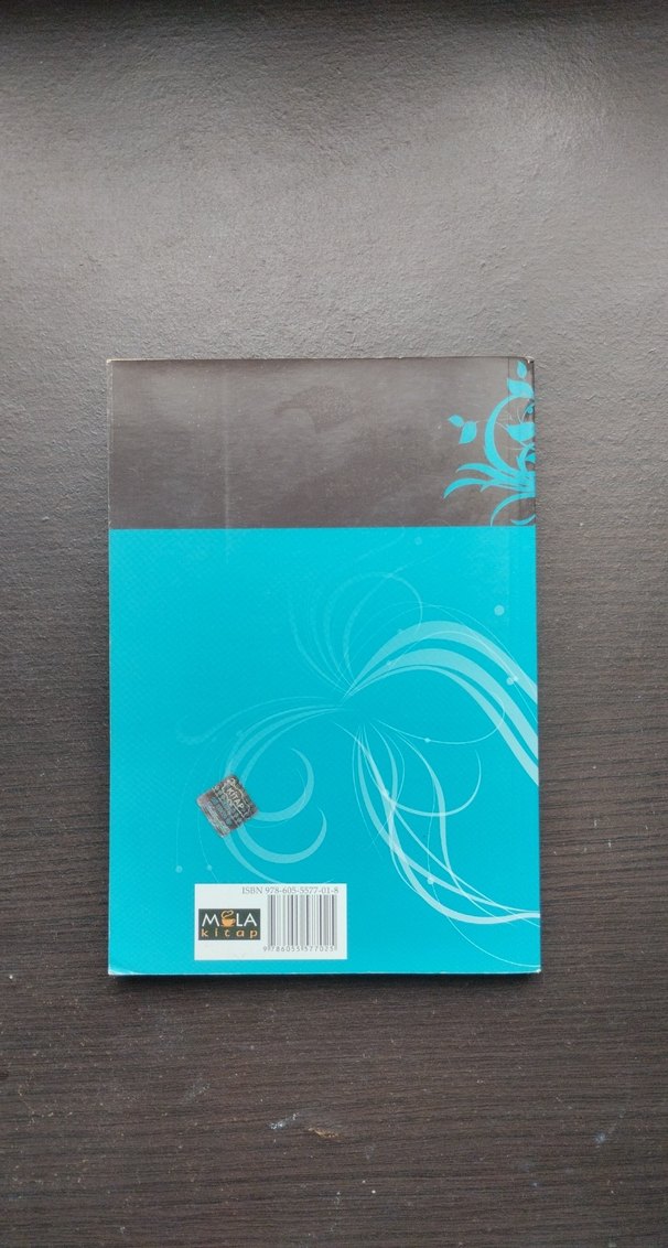 Açlık - Knut Hamsun - Görsel 2