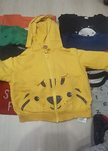 Renkli Erkek Çocuk Sweatshirt 10 adet - Görsel 4