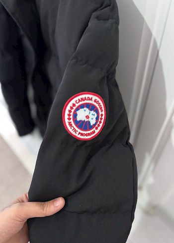 Canada goose - Görsel 3