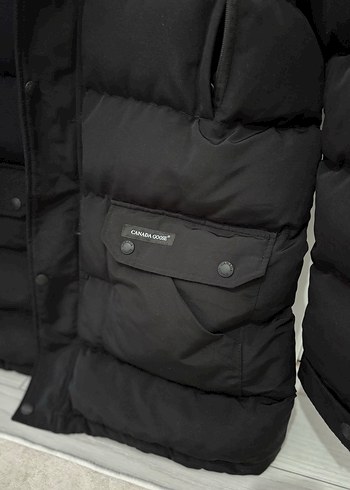 Canada goose - Görsel 5