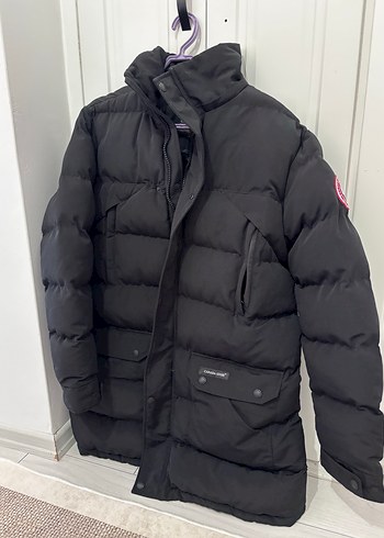 Canada goose - Görsel 2