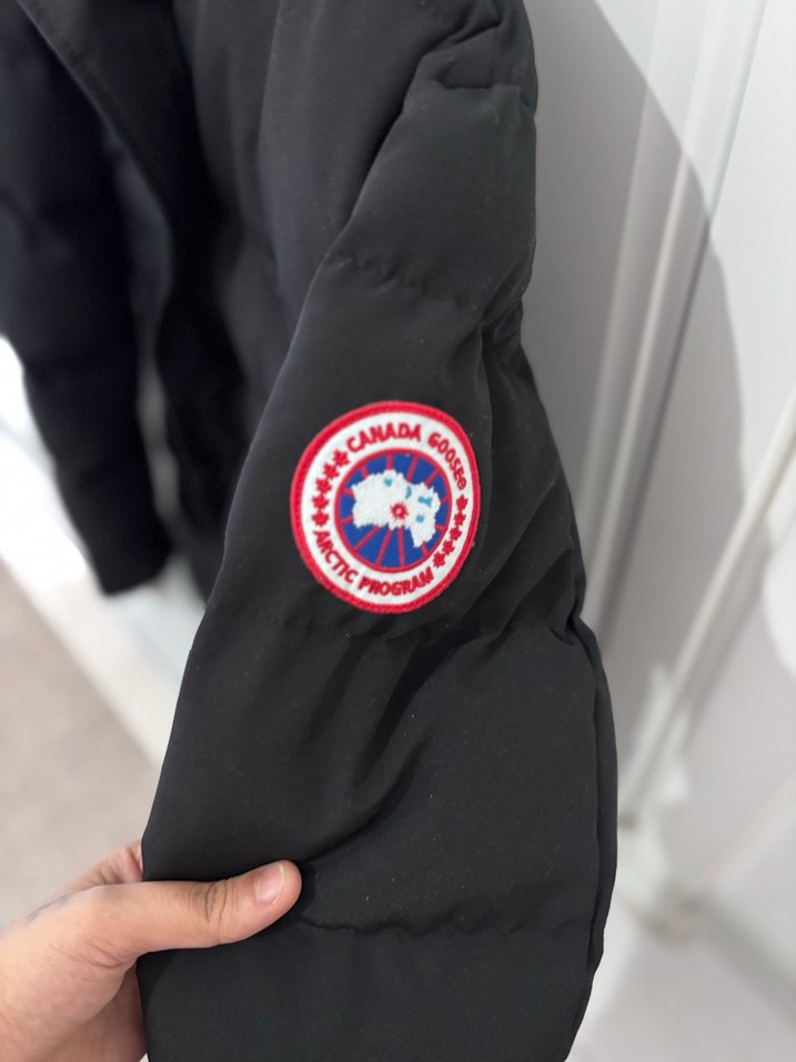 Canada goose - Görsel 3