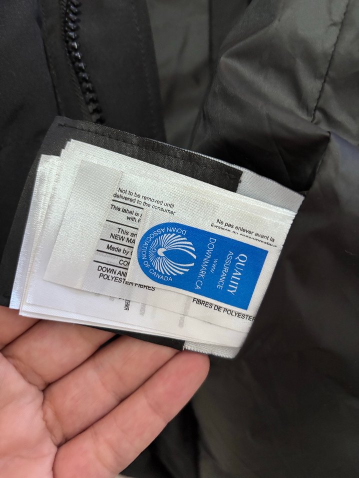 Canada goose - Görsel 4