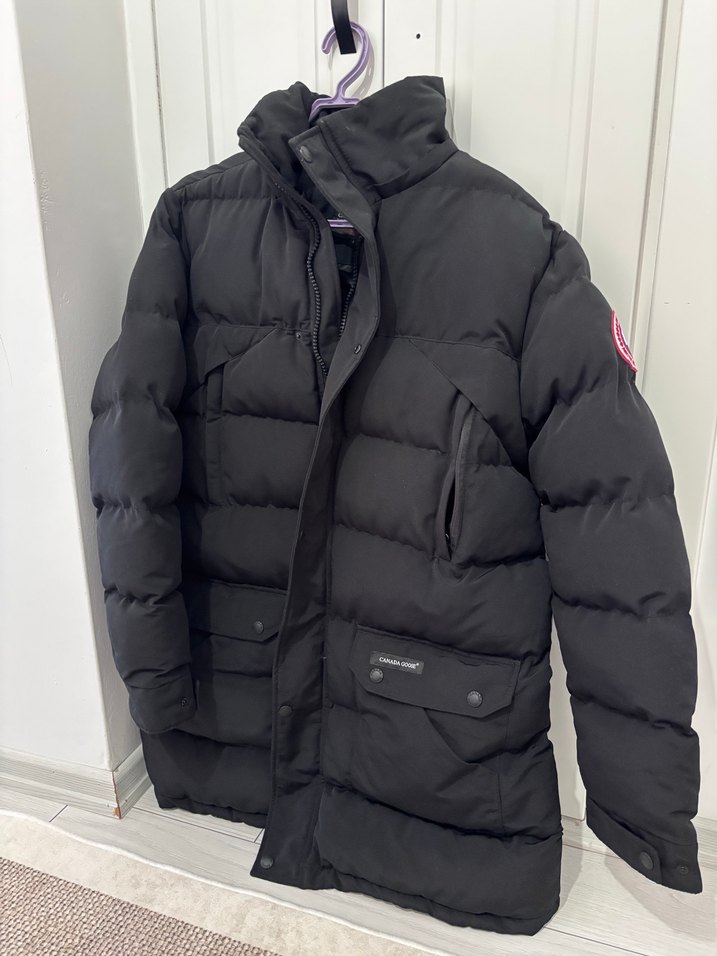 Canada goose - Görsel 2