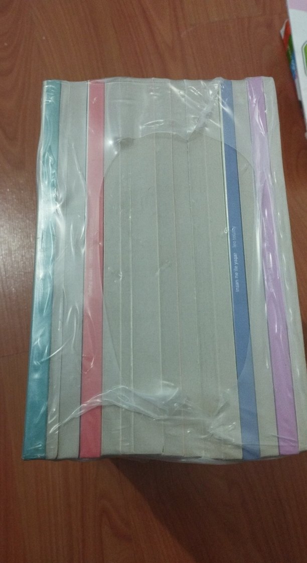 Peter Pan ve Vatan Yahut Silistre Kitap Seti - Görsel 4