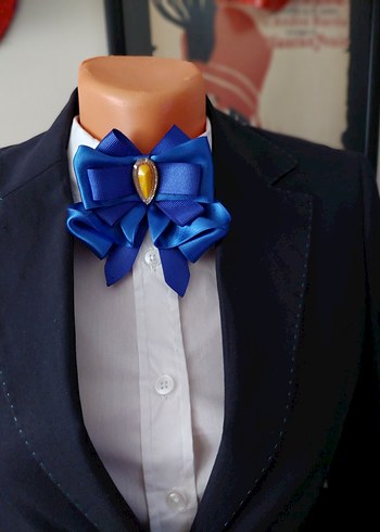 İş için Mavi Fiyonk Broş - Görsel 3