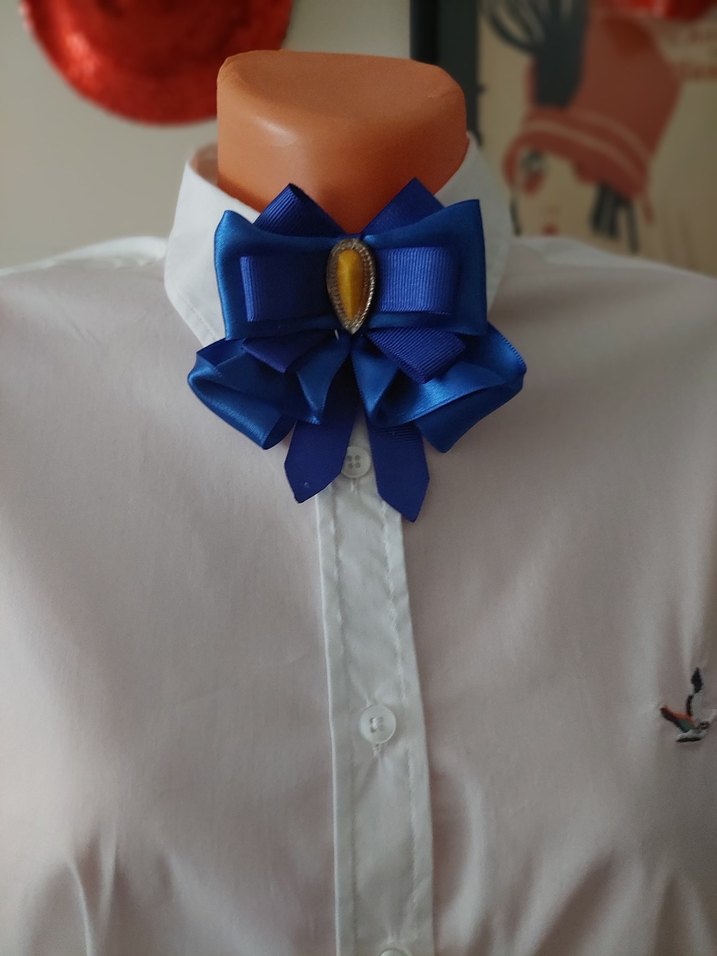 İş için Mavi Fiyonk Broş - Görsel 4