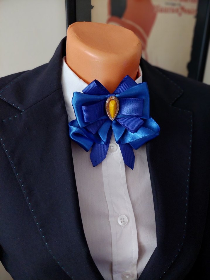 İş için Mavi Fiyonk Broş - Görsel 2