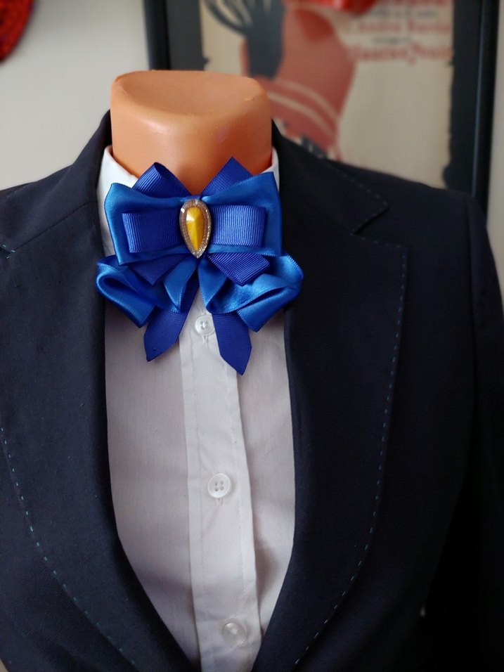 İş için Mavi Fiyonk Broş - Görsel 3