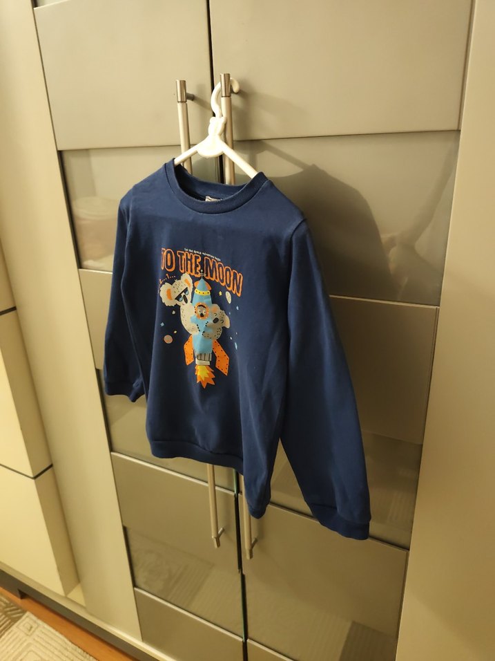 Erkek Çocuk Mavi Baskılı Sweatshirt - Görsel 3