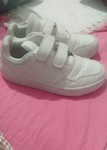 Adidas 33