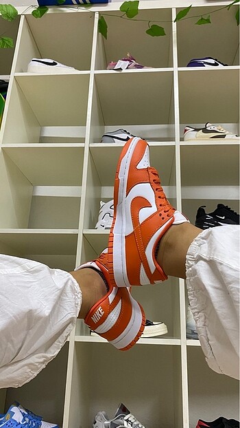 Nike Nike dunk