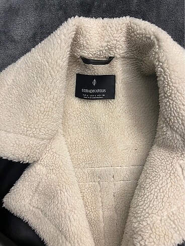 l Beden Stradivarius mont