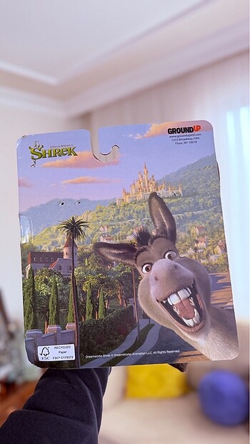 42-43 numara Shrek-dreamworks ev terliği panduf - Görsel 3