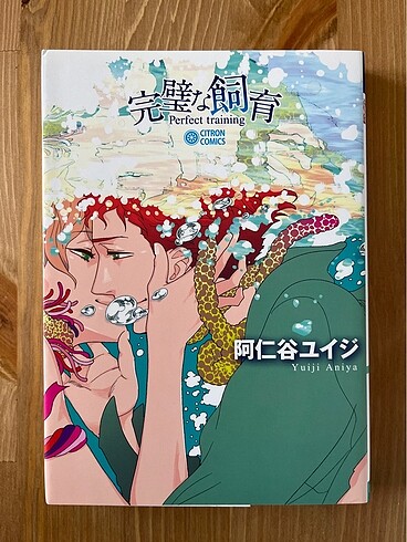 Kanpeki na Shiiku Japonca Manga