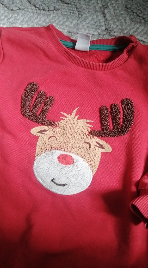 Kızaklı Kırmızı Erkek Sweatshirt - Görsel 4