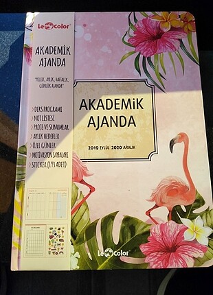 Akademik Ajanda 