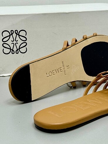 37 Beden Loewe
